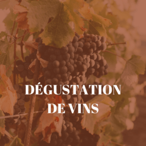 dégustations des vins de la région et d'ailleurs